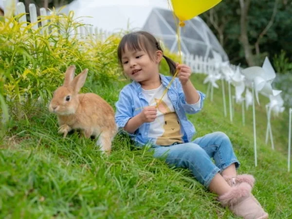 揪好森草地 女孩與兔子 親子寵物友善