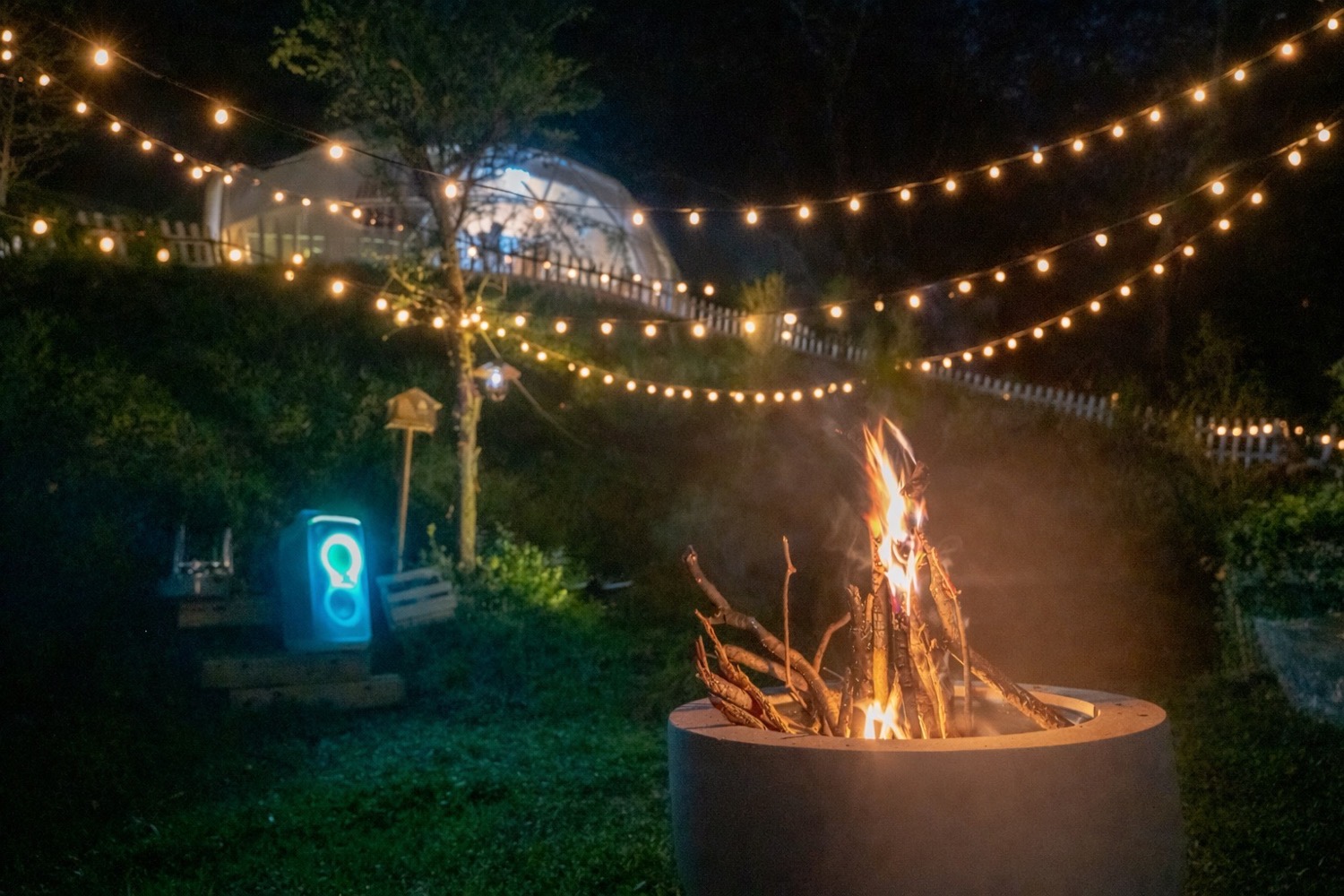 Forest camping visual