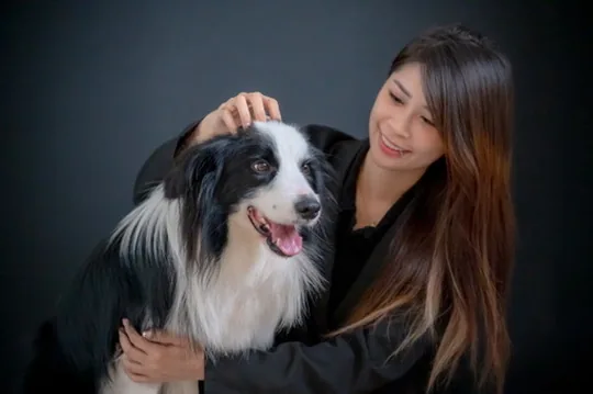 桃園寵物攝影棚拍 主人與邊境牧羊犬單色背景寫真 小巴老師 揪好森