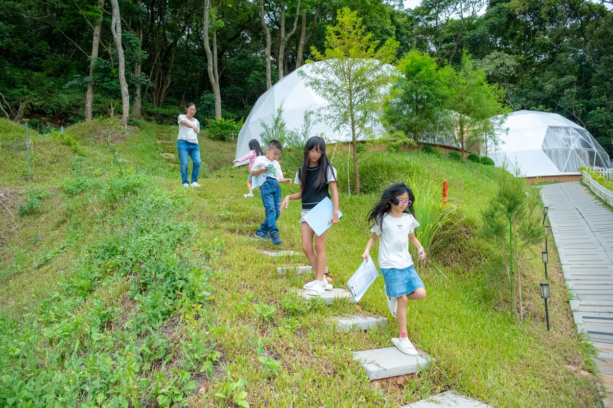 孩子們沿著森林草地與圓頂帳篷旁奔跑探索